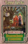 «Волшебник у власти» - Терри Брукс