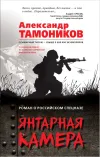 «Янтарная камера» - Александр Тамоников
