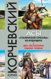 «Асы. «Сталинские соколы» из будущего»