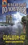 «Большой лес. Многомерность»