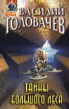 «Тайны большого леса»