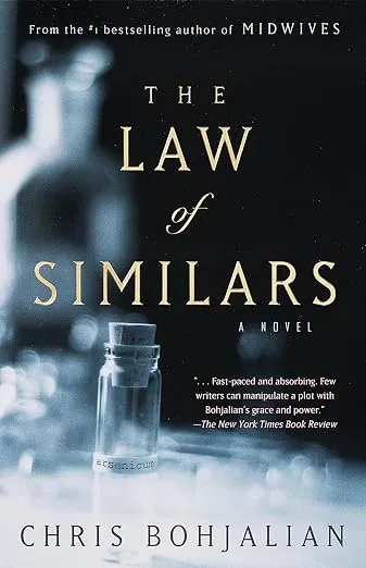 Обложка Закон подобия (The Law of Similars)
