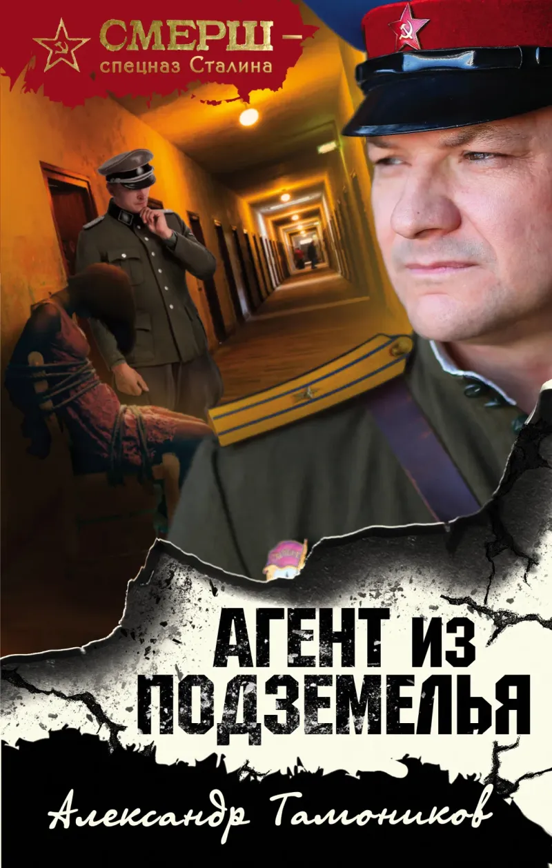 Подробнее о Агент из подземелья