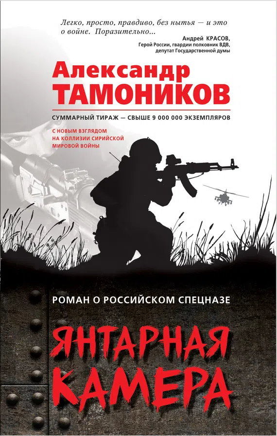 Подробнее о Янтарная камера