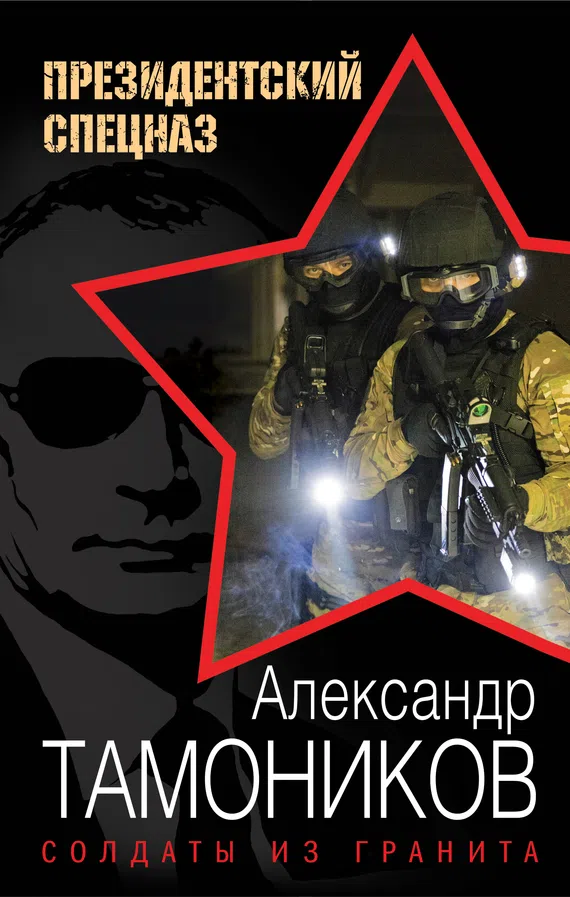 Подробнее о Солдаты из гранита