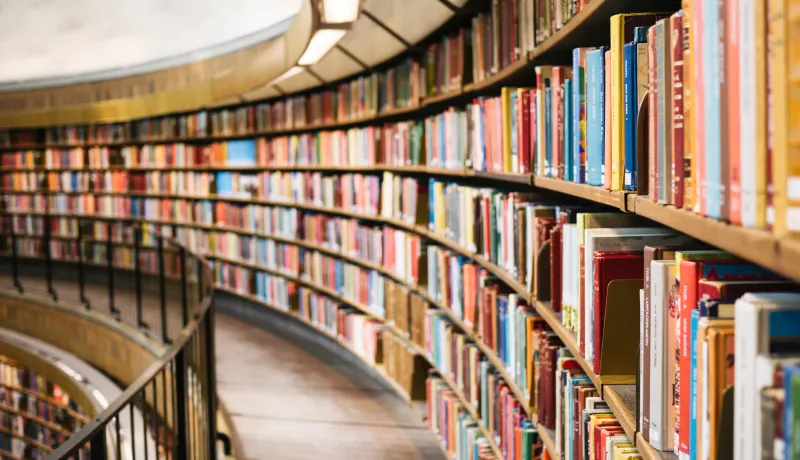 Изображение к статье Любопытные факты о книгах