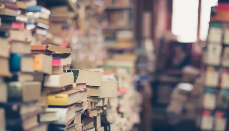 Изображение к статье Как навести порядок на книжной полке