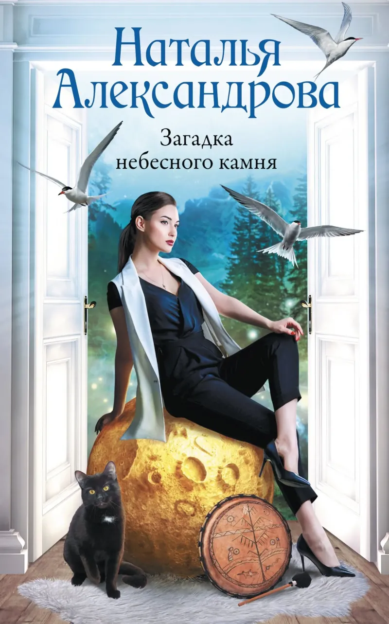 Загадка небесного камня Наталья Александрова
