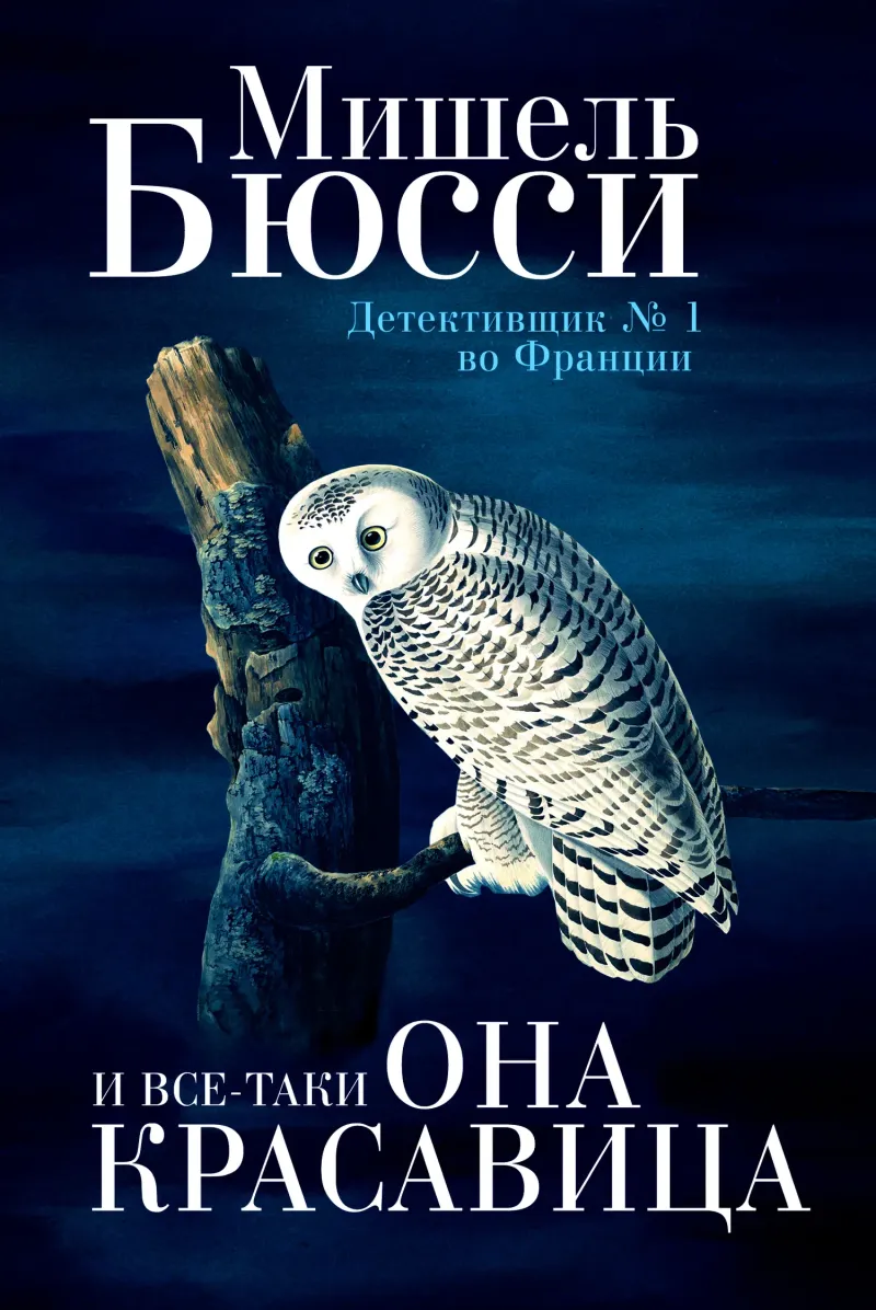 Подробнее о И все-таки она красавица