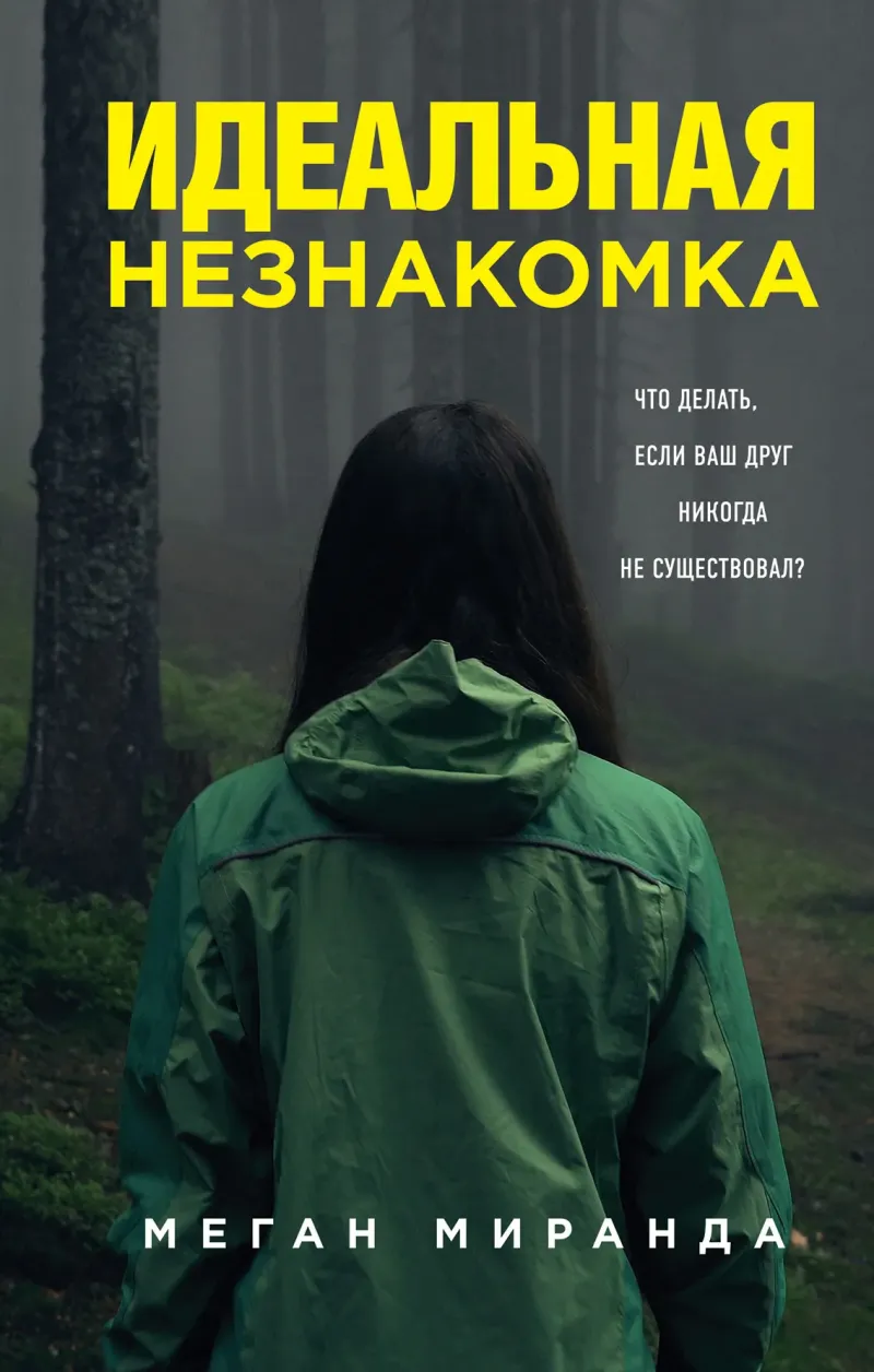 Подробнее о Идеальная незнакомка