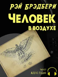 Подробнее о Человек в воздухе