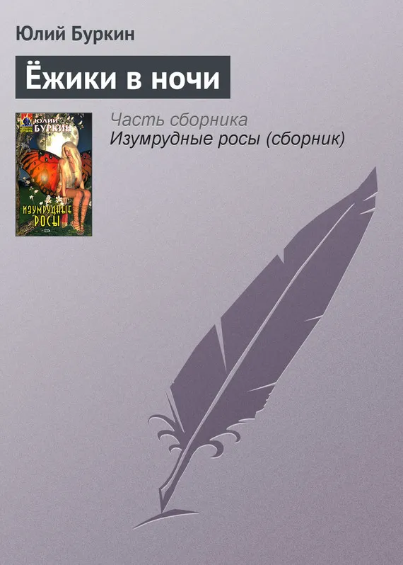 Подробнее о Ёжики в ночи