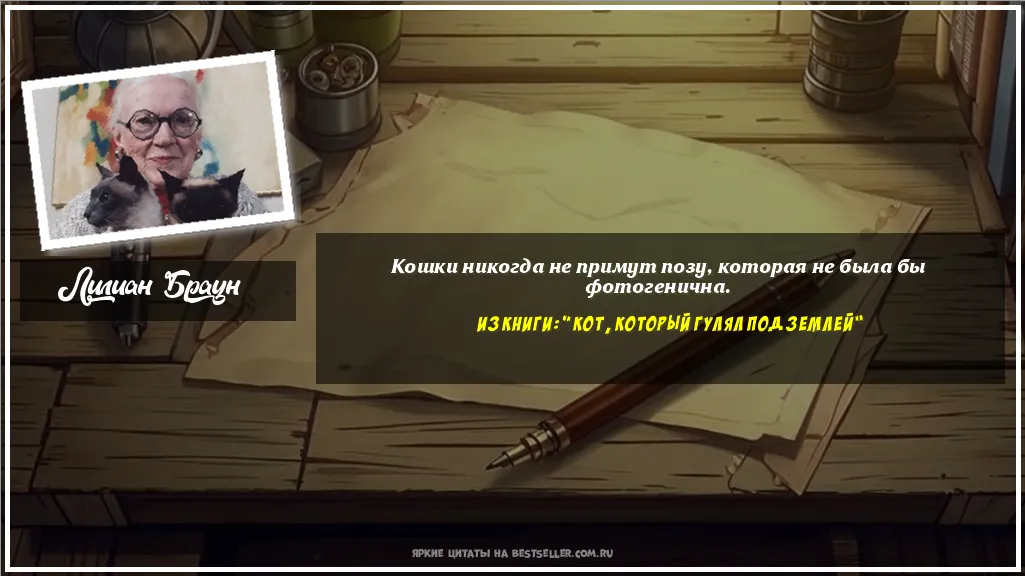Картинка с цитатой — Кошки никогда не примут позу,...