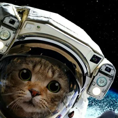 Котик Сириус