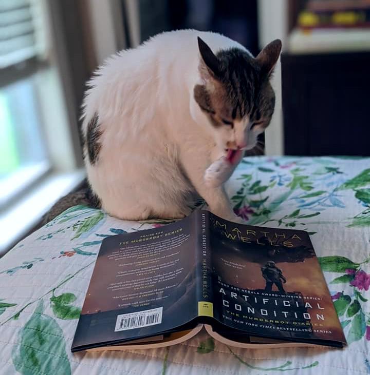 Киллербот и кот