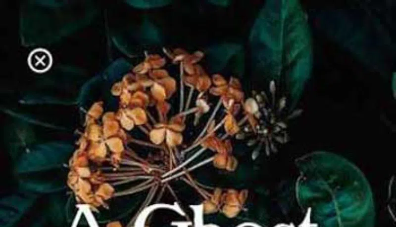 Изображение для Опубликован шорт-лист премии Rathbones Folio Prize 2021