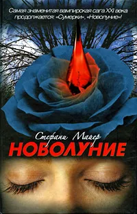 Подробнее о Новолуние