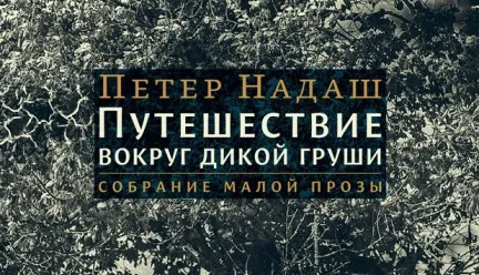 Изображение для Премия 
