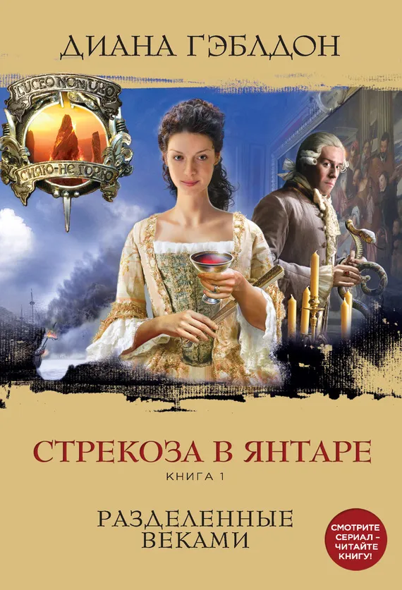 Подробнее о Стрекоза в янтаре. Книга 1. Разделенные веками
