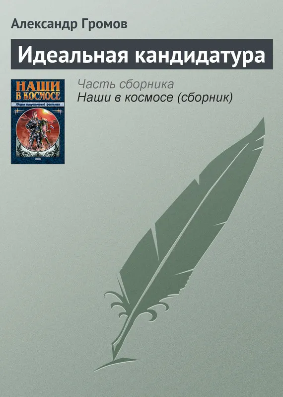 Подробнее о Идеальная кандидатура