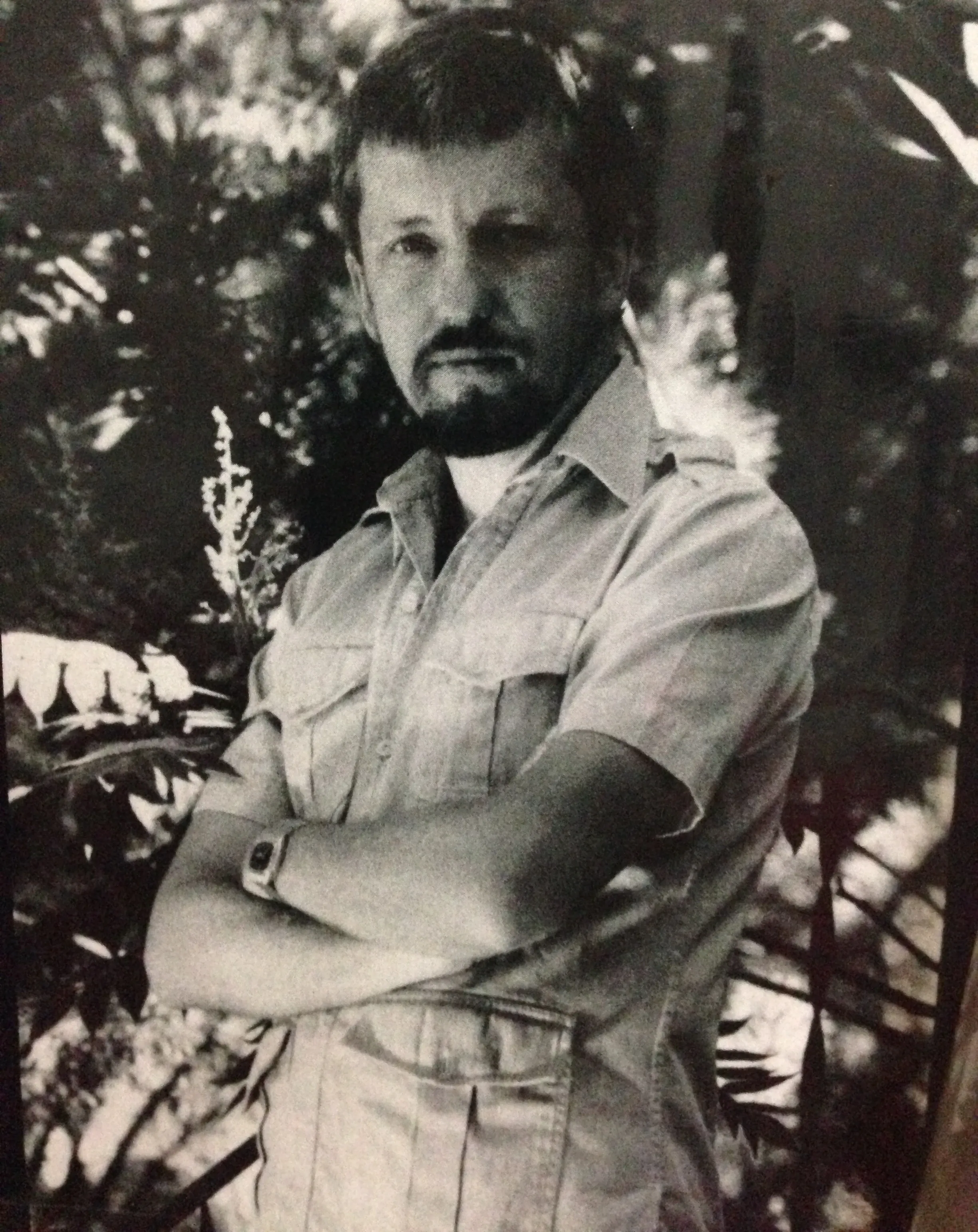Дэн Симмонс 1988 год