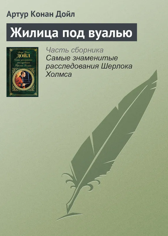 Подробнее о Жилица под вуалью