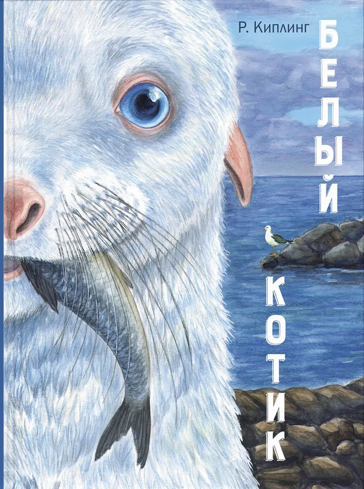 Подробнее о Белый котик